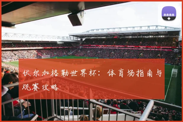 伏尔加格勒世界杯：体育场指南与观赛攻略