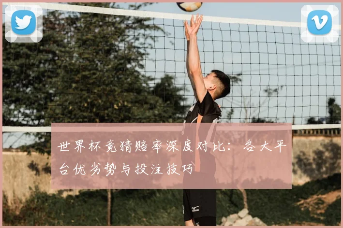 世界杯竟猜赔率深度对比：各大平台优劣势与投注技巧